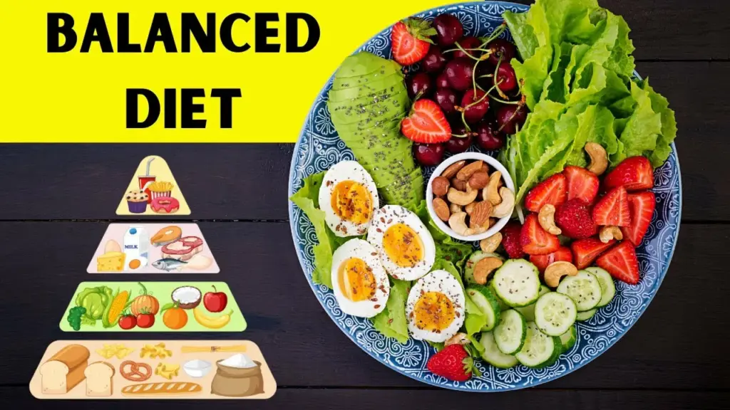 Nutrition Planning for Stable Energy Throughout the Day
